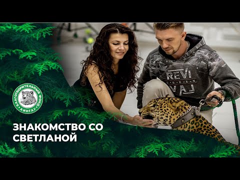 Video: Živalski Snežni Leopard: Opis, življenjski Prostor