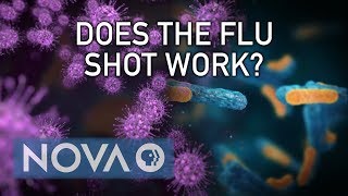 Why Doesn’t the Flu Vaccine Always Work?