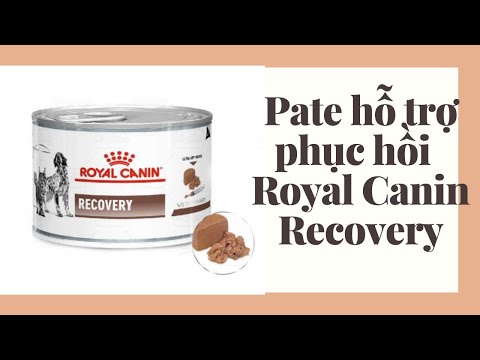 Pate Phục Hồi - Royal Canin Recovery