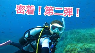 【密着】ダイビングの１日【第二弾】