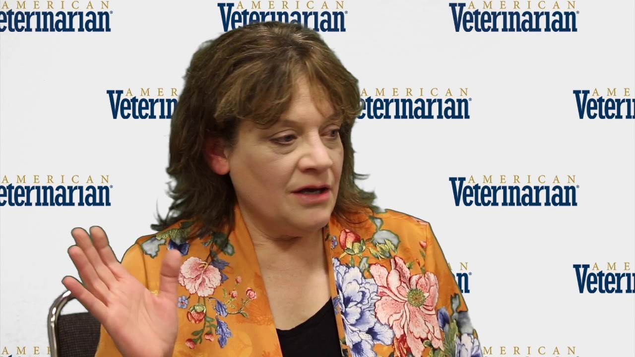 The Biggest Myth About Integrative Veterinary Medicine