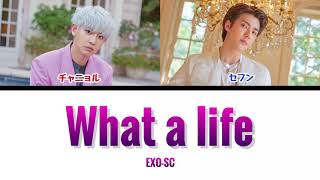 【かなるび/日本語訳】 What a life - EXO-SC 세훈&찬열