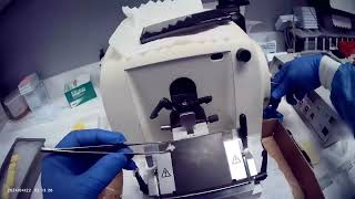 Tissue Overload! Cleaning Up a Damaged Section | 5 Micron Microtome Fix 🔪