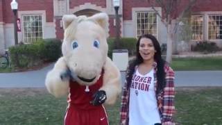 PINK Campus Rep Application Video