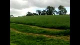 Doughtys silage (2nd cut mowing)another field