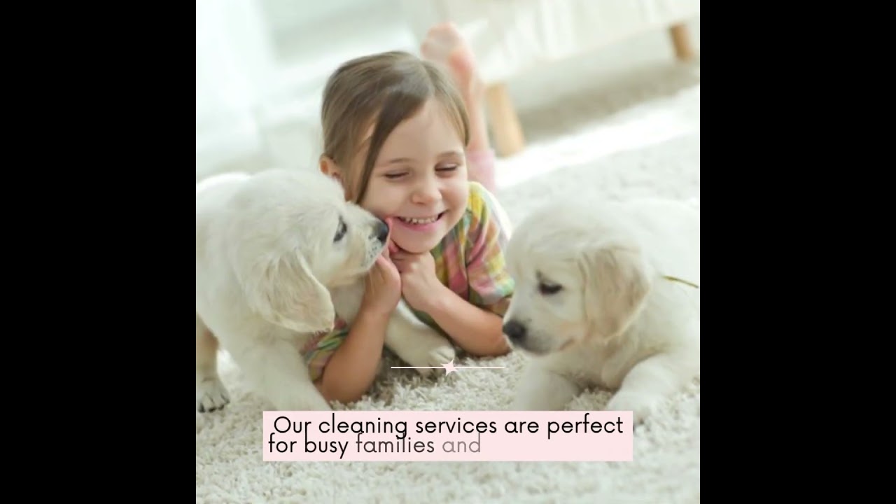 Eco cleaning services Sydney | Sydneyecocleaning.com.au