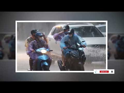 Video Dự báo thời tiết hôm nay mới nhất ngày 15/8 | Dự báo... - youtube