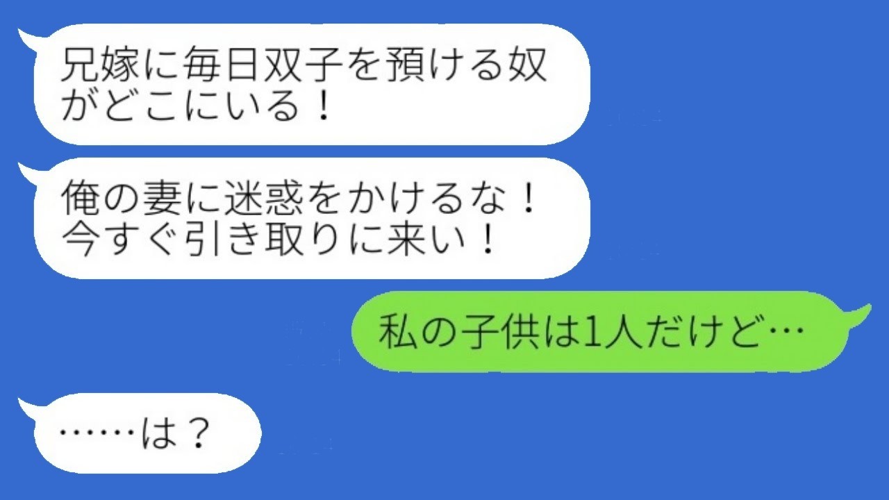 出張中に兄からブチギレ電話『毎日双子を預ける奴は誰だ！』私『私の子は1人』→暴かれた双子の親の衝撃の正体