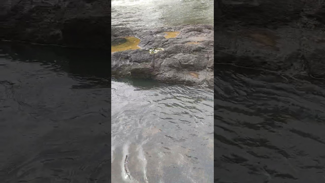 Santuy sejenak _@ evanture