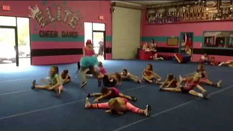 Volusia Elite - Mini's Harlem Shake