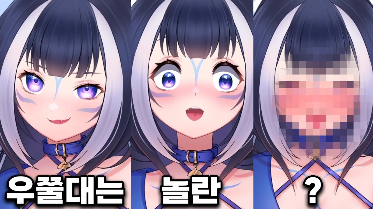 버튜버 표정 컨트롤 1티어의 수준