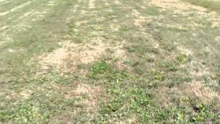 Shooting Update- August 22, 2010