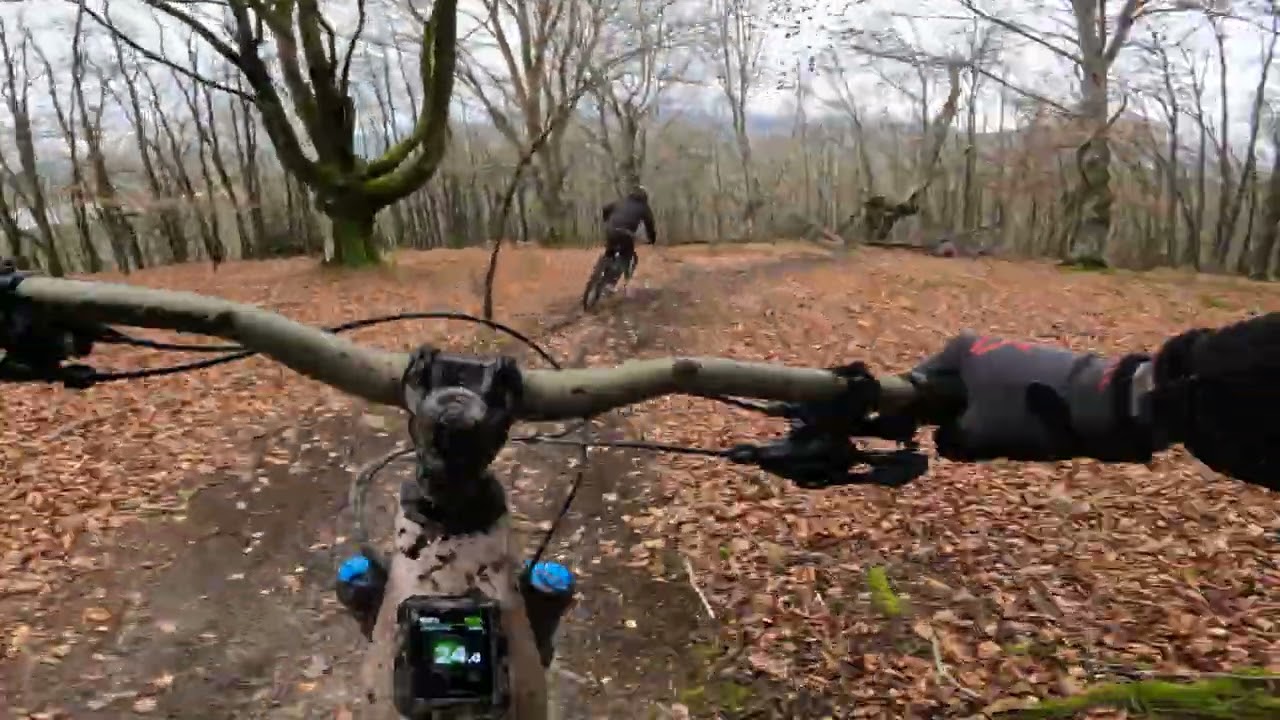 Landa 2026.02.28: DH Legutio II