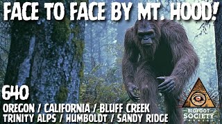 Face to Face by Mt. Hood! | Oregon | Bigfoot Society 640