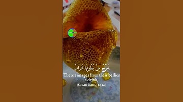 Quran | Surah An-Nahl | سورة النحل | Ayat 68-69 | Urdu/English Translation | #islam #viral