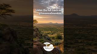 Savanna Sound - Tribal Soul Meditation | African Calm Atmosphere