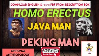 Homo erectus,Java Man,Peking Man (Optional Anthropology) Wealth