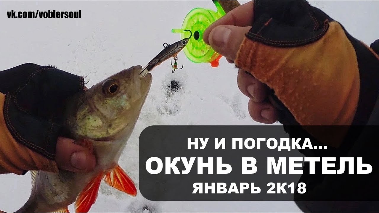 ⁣Ловля окуня зимой. С балансиром в глухозимье. Зимняя рыбалка в метель. Январь 2018 г.