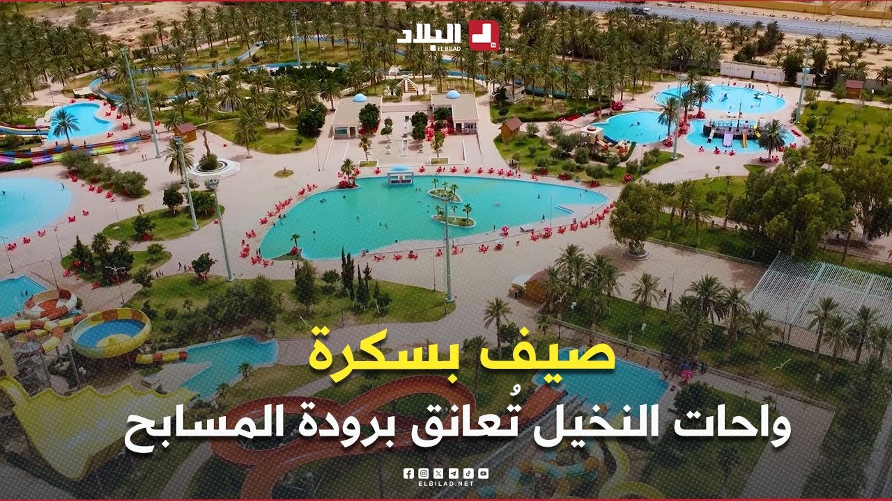 #روبورتاج l صيف #بسكرة .. حيث تعانق واحات #النخيل برودة المسابح وسحر الحدائق