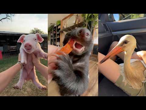 Kindness is so cool #rescue #lovestory #kindness #animal #love #wildlife #wildliferescue #cute