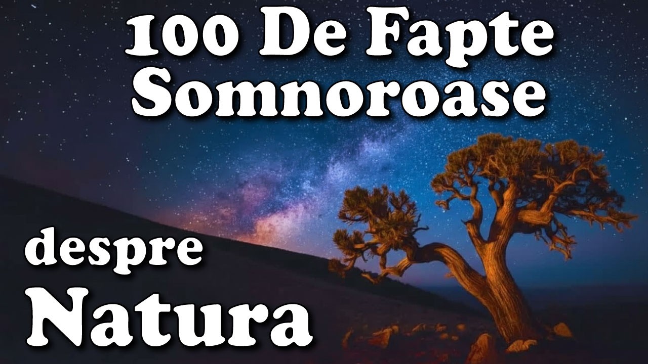 Cele Mai Relaxante Curiozități Despre Natură Ca Să Adormi