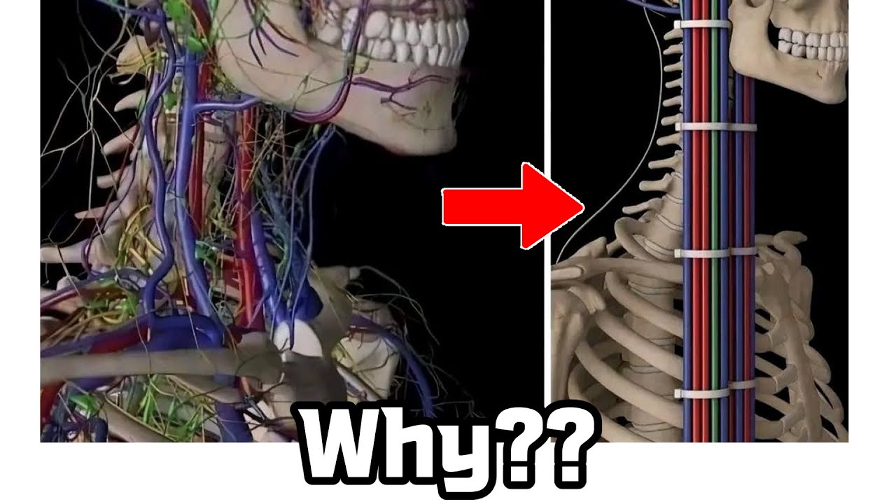 이렇게 하면 더 효율적인데 왜 안함?