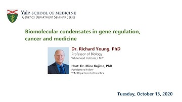 Genetics Seminar Series 2020: Richard Young, PhD