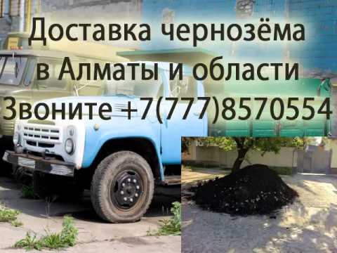Виды черноземных почв