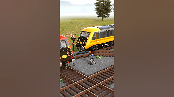 You Won’t Believe This Double Train Crossing!😳