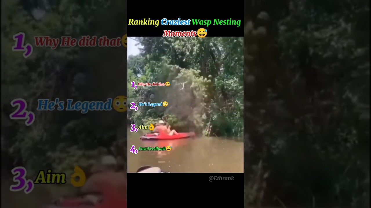 Рейтинг странных осиных гнезд 🤯 
