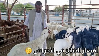 #سوق الغنم أسعار الذبائح نعيمي نجدي سواكني تيس في بالمدينة المنورة 🐏🐑