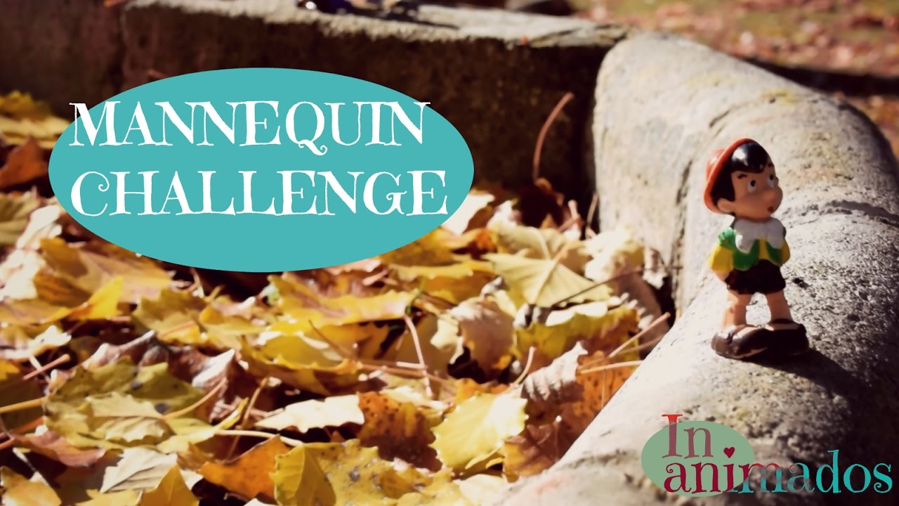 Mannequin Challenge | INANIMADOS