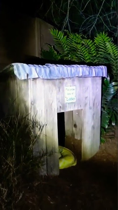 Giant Snake On The Loose #shorts - YouTube