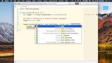 Implement Natural Language Processing in 3 Minutes using Swift!