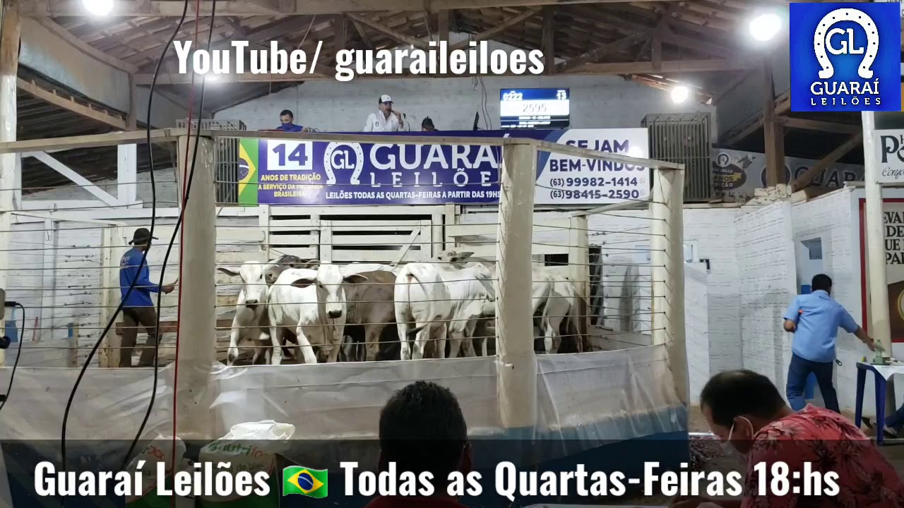 Guarai Leiloes 🇧🇷🐂🤝