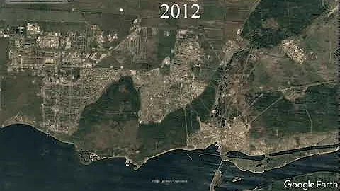 Как умирает лес в Тольятти