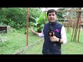 India-Seychelles साझेदारी का नया अध्याय, सेशल्स में Solar-Power से बदलेगी खेती