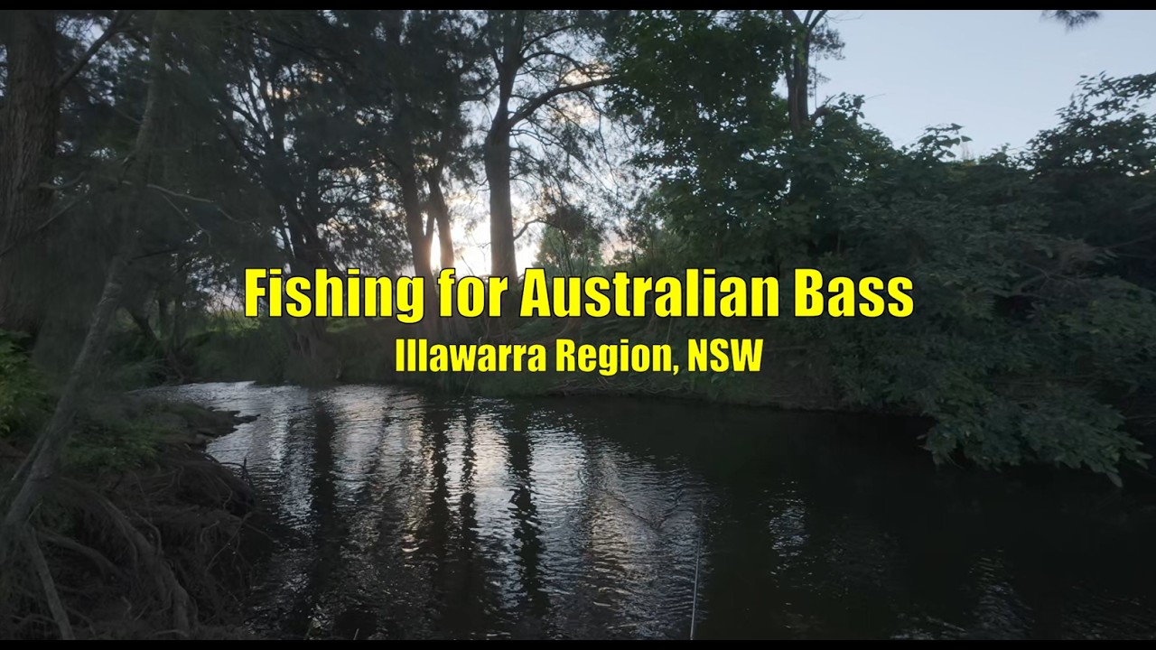 Fishing for Australian Bass – Illawarra Region, NSW
