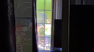 Canada Garbage collection #garbagetruck #wastemanagement #Canada #recycle #green