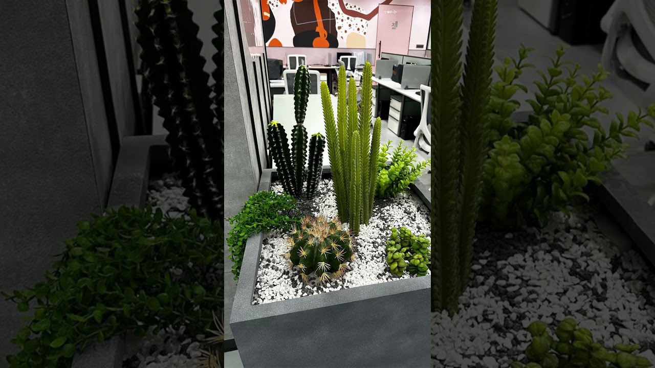 From Drab to Fab: Artiiplant's Stunning Makeovers