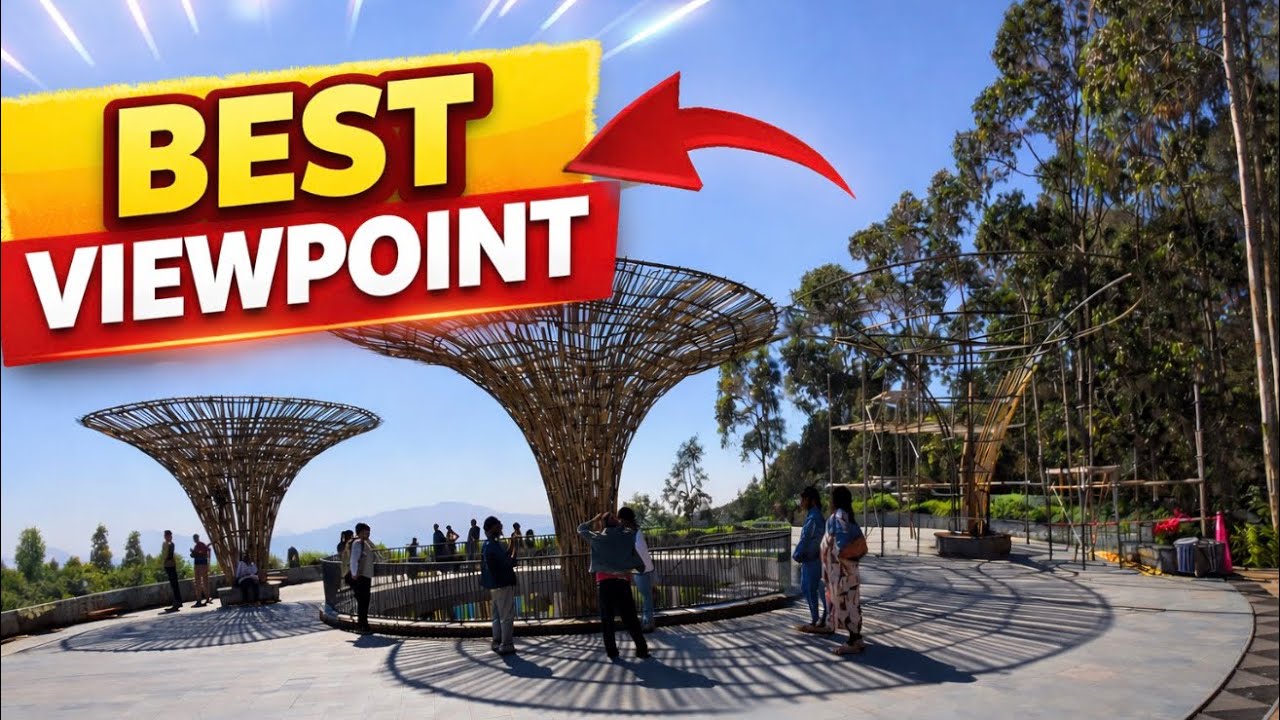 Entoto Park  The Most Beautiful Mountain View in Addis Ababa