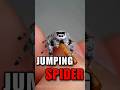 The Cutest Spider in the World 😍🕷️