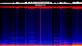 STAMMET Arthur - Désagrégation minimale (animated spectrogram)