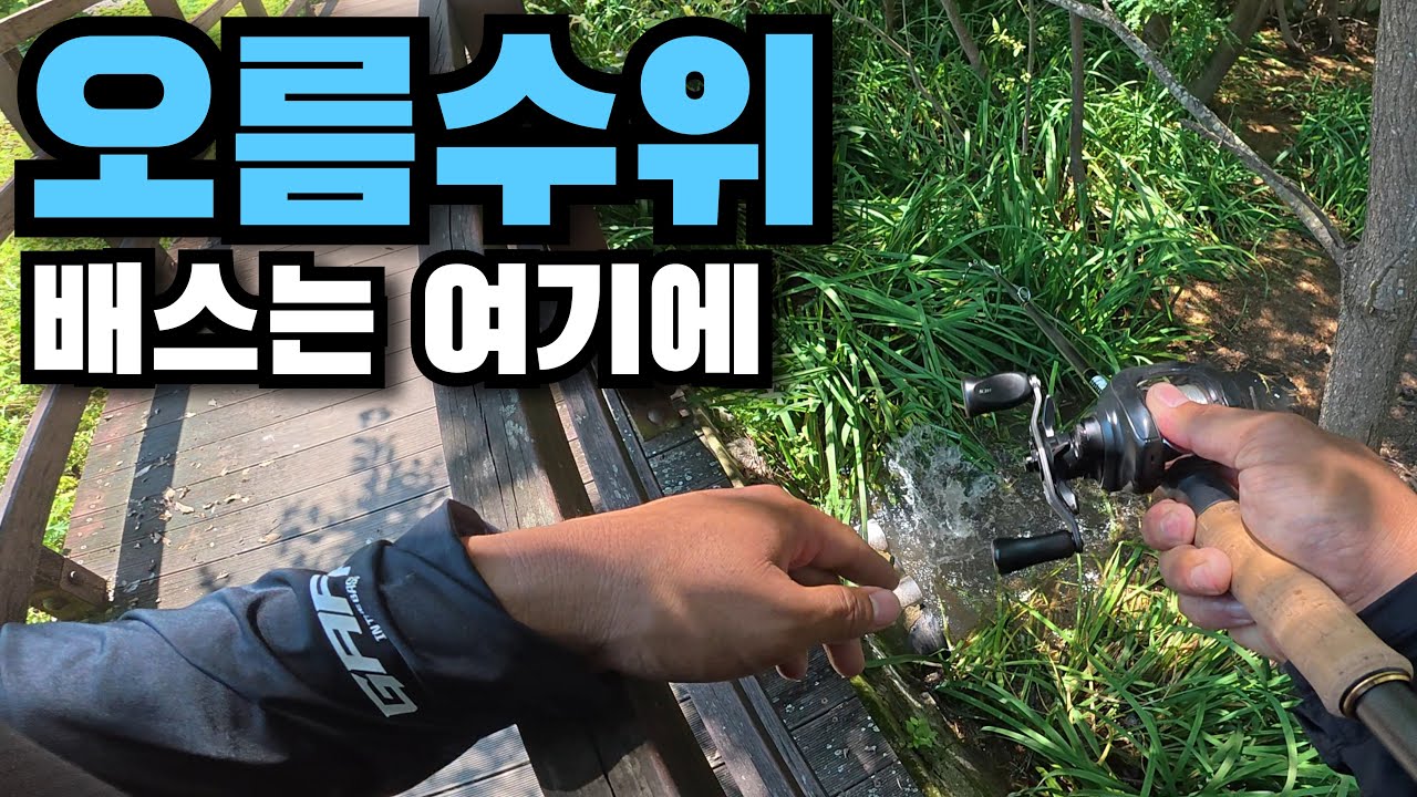 남들과 다른 오름수위 배스 공략법! 아직도 탑워터만 던지세요?[4K]