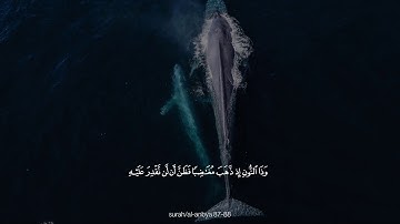 اروع تلاوة خاشعة ومؤثرة جداً تهتزة منها القلوب القارئ||اسلام صبحي