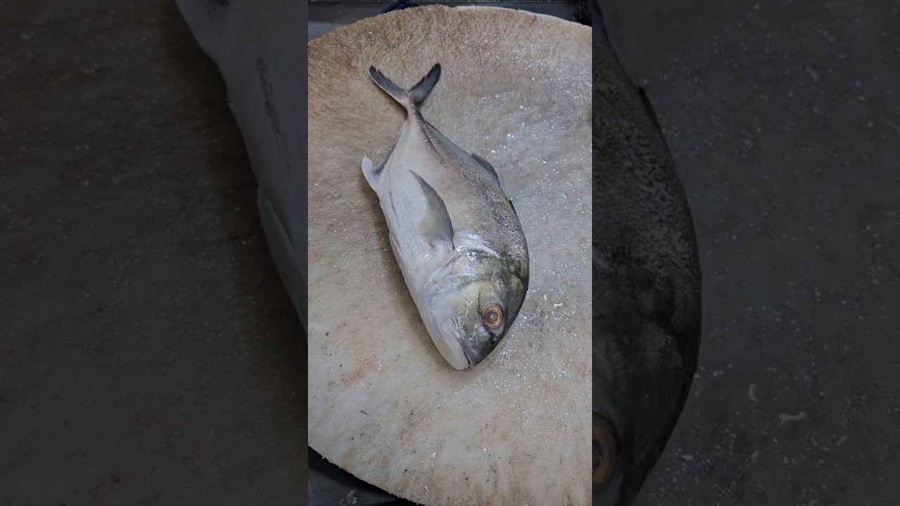 Amazing Trevally Fish Cutting Skills