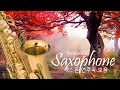 [색소폰 연주곡 모음] 40곡 🎷 로맨틱 색소폰 연주곡 모음 - 가슴을 울리는 색소폰 연주곡 - Romantic Songs Saxophone Cover 🎷