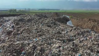 Recycling Christmas Trees in the New Year | Environment Matters
