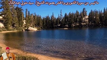 ما تيسر من سورة الشورى والحشر (دون صدى) بصوت الشيخ/ سيد متولي عبدالعال