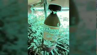 Doc Grower second entry for So you want to be sponsored by TNB Naturals #contest 2018 #tnb